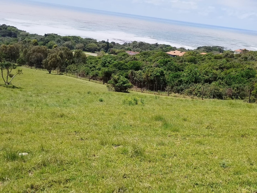 Commercial Property for Sale in Cintsa East Eastern Cape
